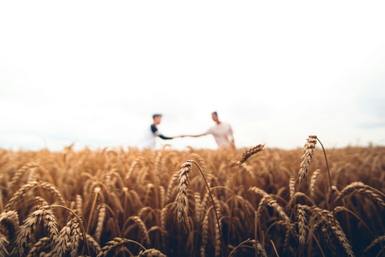 Cultivating Capital: How Chipotle is Financing the Regenerative Agriculture Movement in 2026