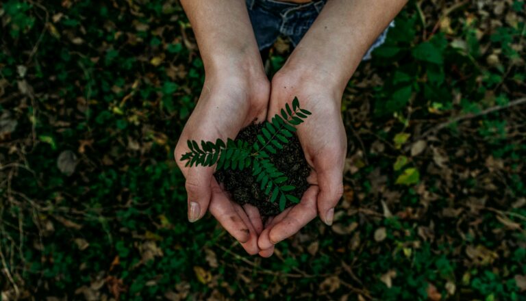 The Death of Greenwashing: Why 2026 is the Year of Audit-Ready ESG Compliance