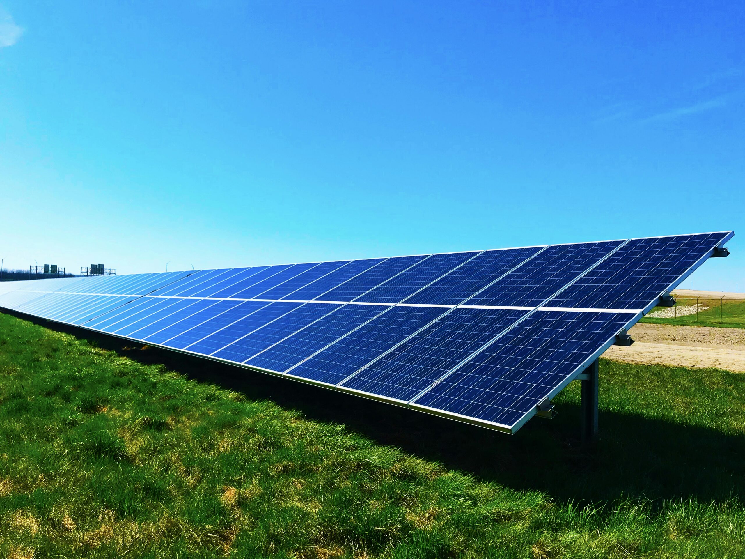 Climate-Proofing the Bowl: Why QSRs are Buying into Vertical Farming