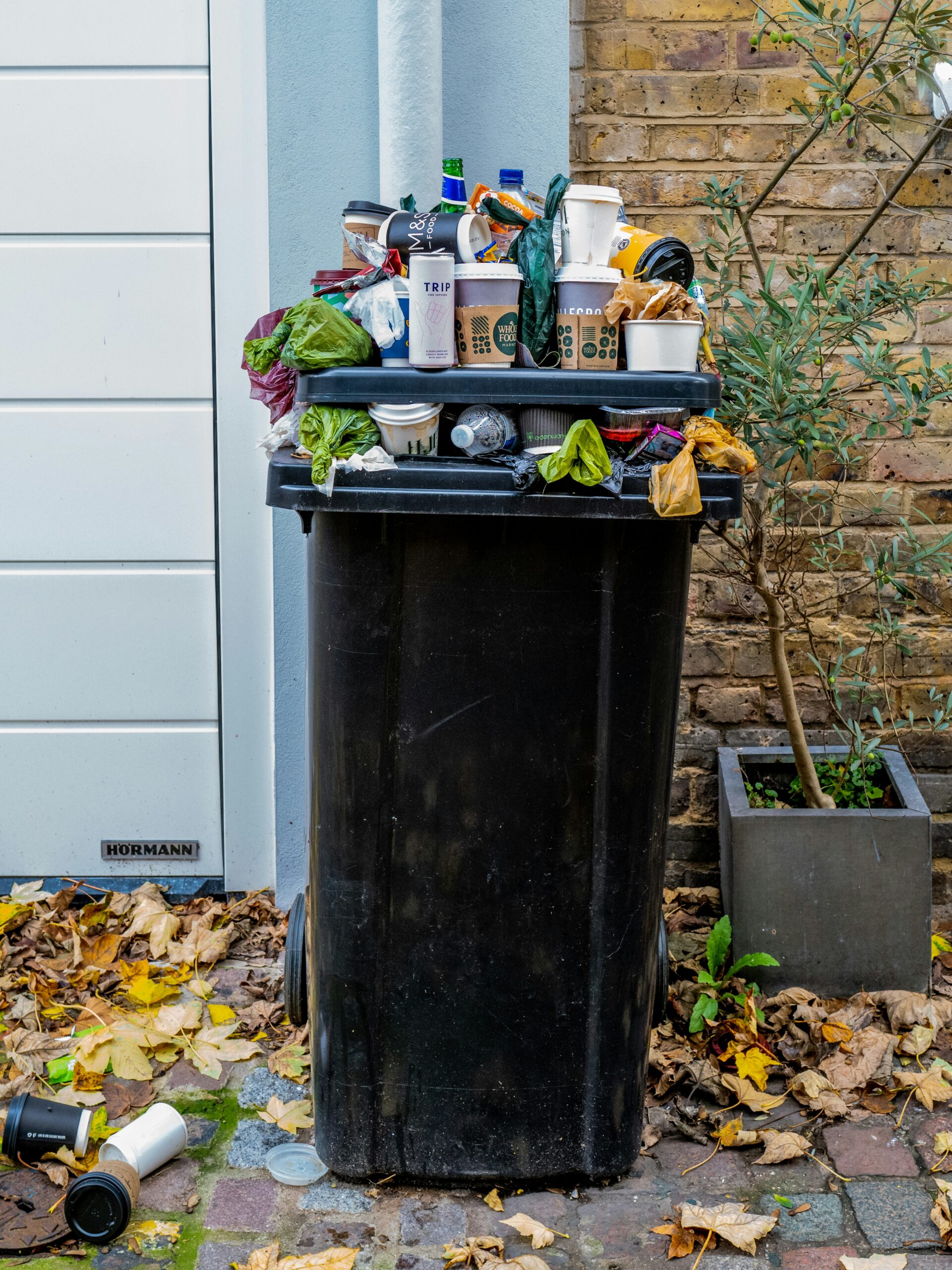 Substantiated Sustainability: How New Packaging Regulations Are Forcing Global Franchises to Prove Their Green Claims